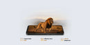HOTWAV NOTE 17 MAX(12GB RAM 64GB STROAGE)