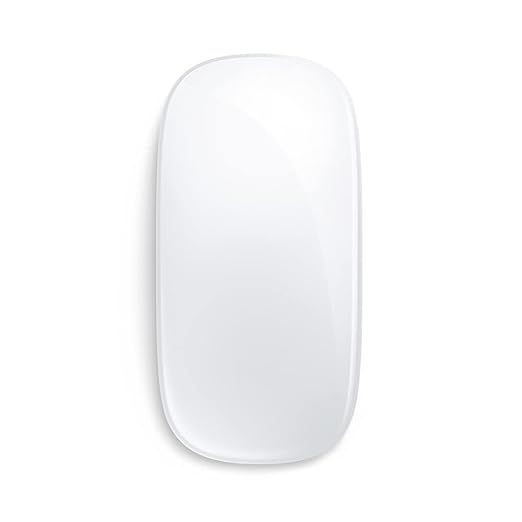 APPLE MAGIC MOUSE