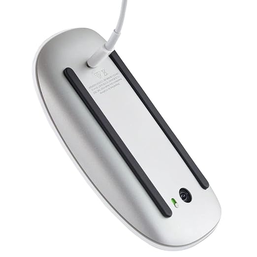 APPLE MAGIC MOUSE