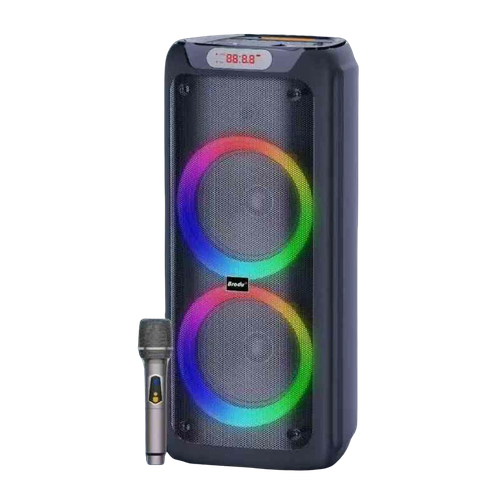 BRODU BTS 2175 Portable Speaker