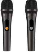 HiFuture MUSICBOX 300 Wireless Speaker with Wireless MIC