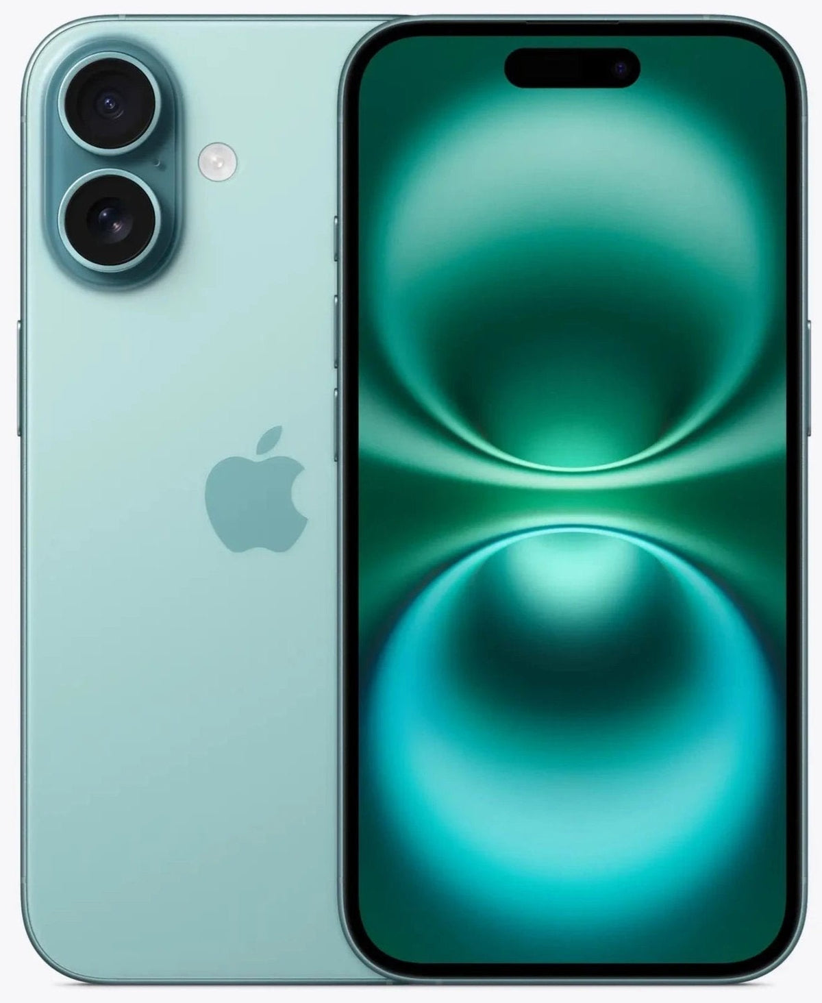 IMG-3825_1200x.jpg?v=1728100541