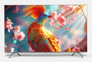 SANSUI 55" UHD QLED TV