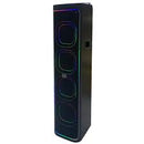 BTS 2271 Portable Speaker