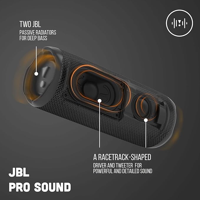 JBL FLIP 6 Wireless Portable Bluetooth Speaker.